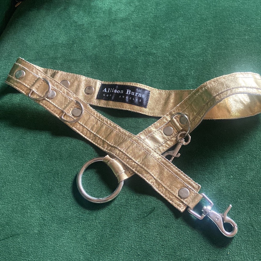 Gold Y2K alison burns vintage leather belt.